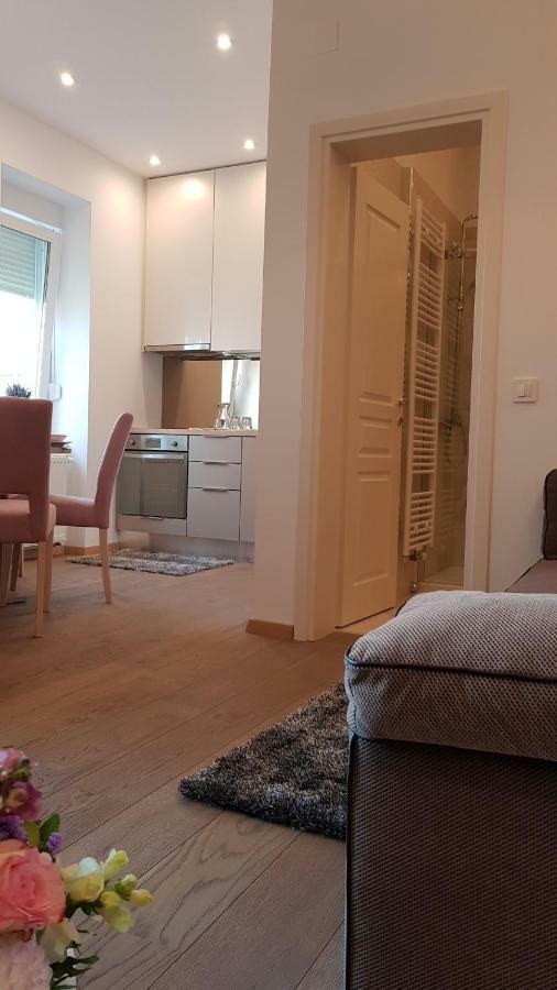 Citylux Apartments Zagreb Bagian luar foto